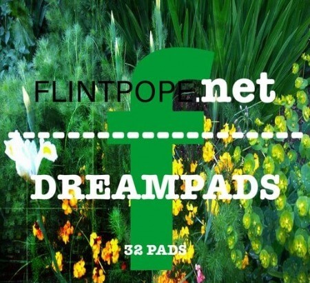 Flintpope DREAMPADS WAV